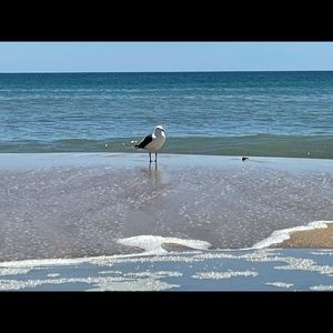 Meet your Posher, Sean